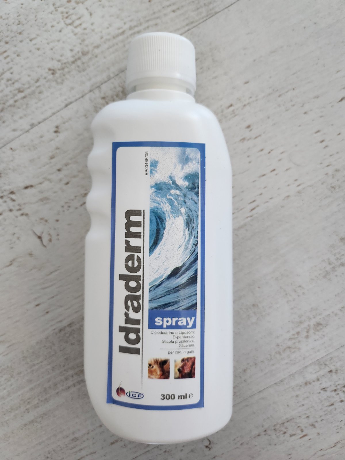 viber_изображение_2026-01-09_12-36-08-597