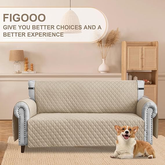 71hXctPH4iL._AC_SX569_