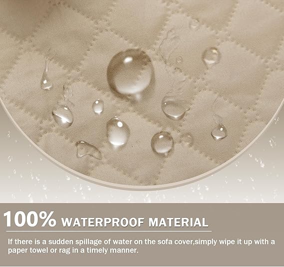 81RzuyqzyBL._AC_SX569_