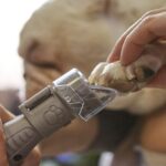 Машинка за нокти за домашни любимци Dremel 7020-PGK - Image 2