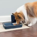 Страхотна хранилка за домашни любимци PetSafe Digital за котки и кучета с две хранения, 2 x 200 г, 4-дневно програмиране, синя - Image 5