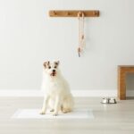 Подложки за обучение на кучета и кученца Amazon Basics - Image 4
