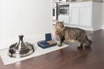 Страхотна хранилка за домашни любимци PetSafe Digital за котки и кучета с две хранения, 2 x 200 г, 4-дневно програмиране, синя - Image 3