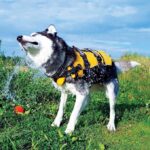 Спасителна жилетка за кучета Ezydog DFD рзмер xs - Image 6